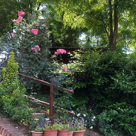 La Collina Degli Ulivi Отель типа 