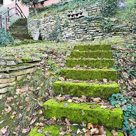 La Collina Degli Ulivi Bed & Breakfast Zola Predosa
