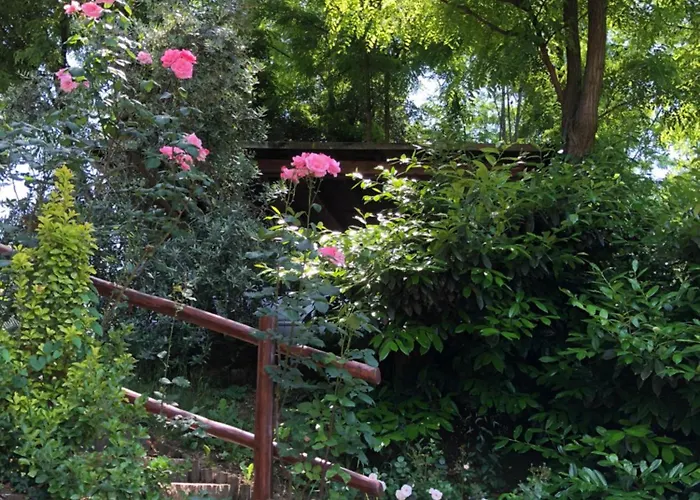 La Collina Degli Ulivi Panzió Zola Predosa