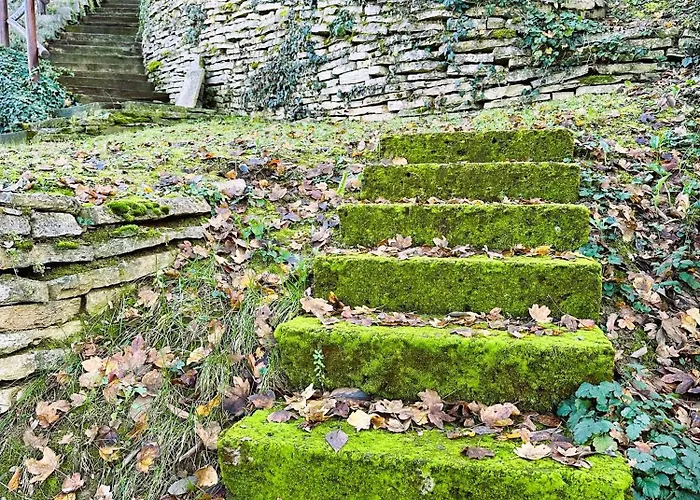 La Collina Degli Ulivi Отель типа 