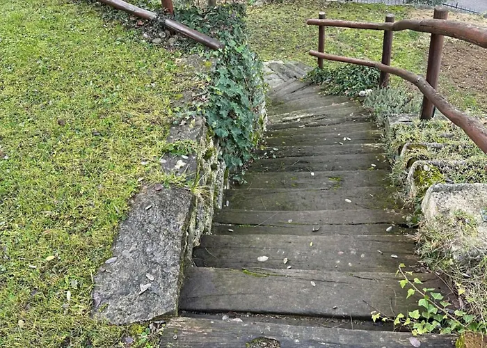 La Collina Degli Ulivi 3* Zola Predosa