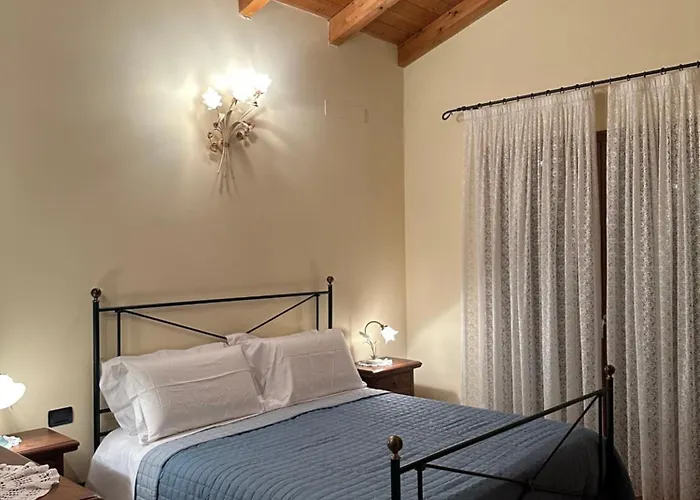 La Collina Degli Ulivi